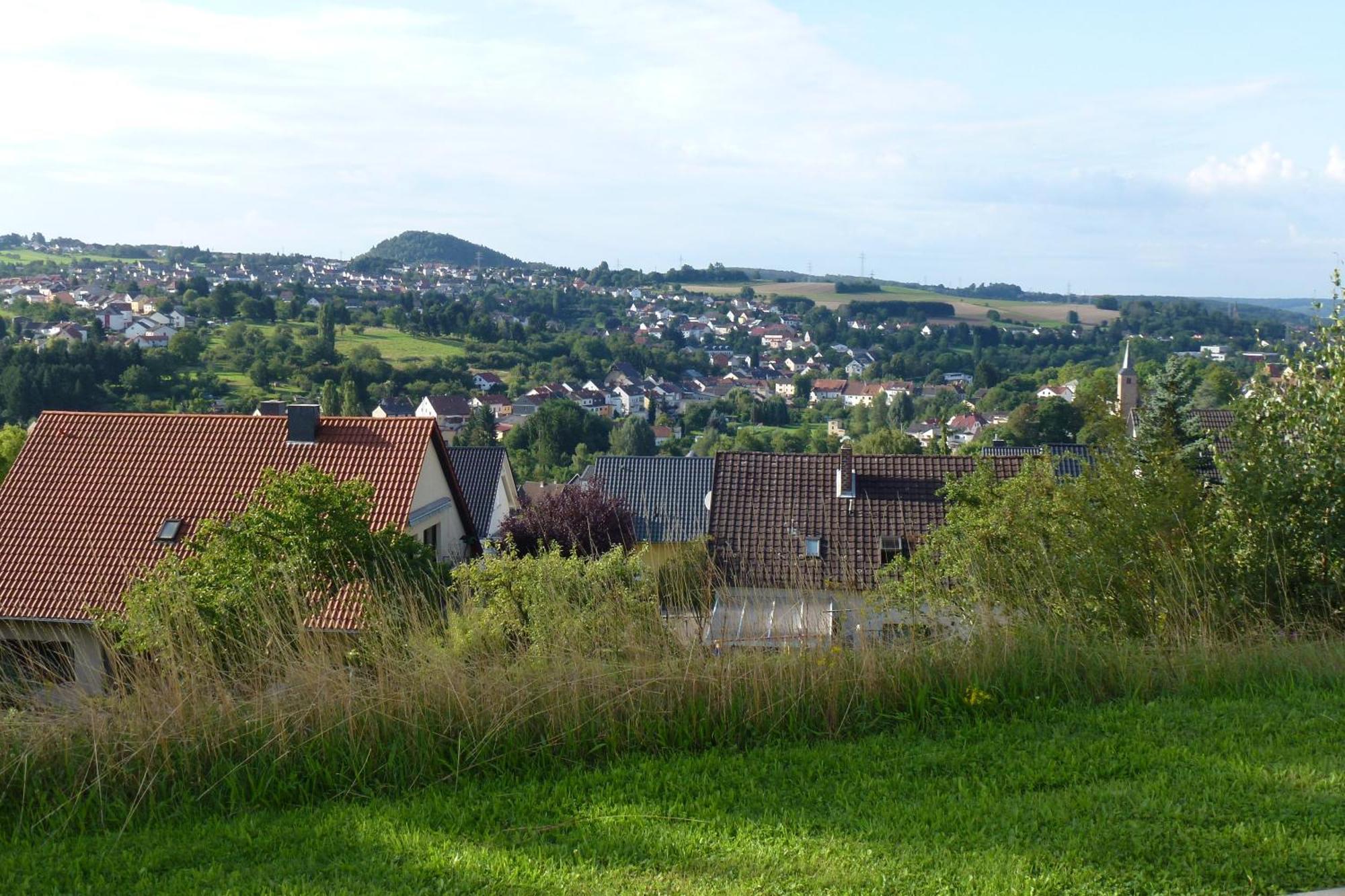 "Baerenhaus" Ferienwohnung Püttlingen Kültér fotó